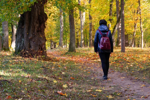 Sırt çantalı mavi ceketli bir kadın eski ağaçlarla dolu bir sonbahar parkında yürüyor.