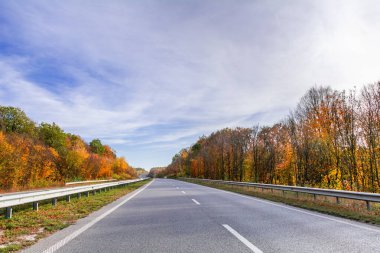 Sonbahar ormanının ortasındaki otoyol. Güzel sonbahar manzarası