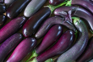 Çeşitli olgun mor patlıcanların arka planı