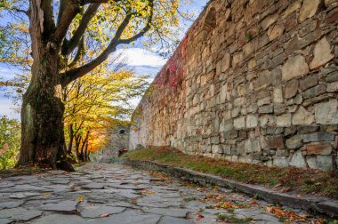 Antik şatonun duvarının yanındaki sonbahar ağaçları sokağı. Terebovlya, kale, Ternopil bölgesi, Ukrayna