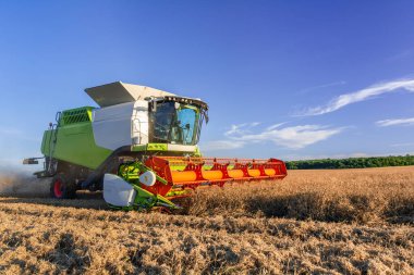 Bezelye Hasadı. Modern Birleşim Tarımsal Alandaki Tohumları Topladı