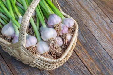 Sepetteki Taze Sarımsak: Tahta Masadaki Hasat Ampulleri