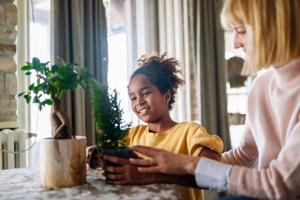 幸せな白人の母親とアフリカ系アメリカ人の娘が屋内で植物の世話をしている 趣味の概念 — ストック写真