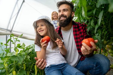 Mutlu çocuklu bir aile çiftlikte bahçıvanlık yapıyor, organik sebze yetiştiriyor. İnsanlar sağlıklı gıda konsepti topluyor.