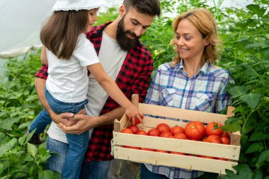 Mutlu çocuklu bir aile çiftlikte bahçıvanlık yapıyor, organik sebze yetiştiriyor. İnsanlar sağlıklı gıda konsepti topluyor.