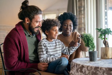 Mutlu bir çift, çocuklarıyla birlikte evde bitkilerle ilgileniyorlar. Aile evi bahçe işleri hobisi..
