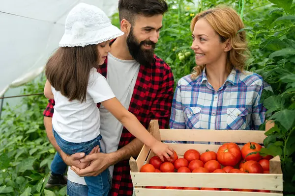 Familia Con Jardinería Infantil Feliz Granja Cultivo Verduras Orgánicas Gente Fotos de stock libres de derechos