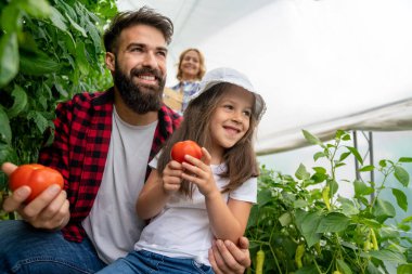 Mutlu çocuklu bir aile çiftlikte bahçıvanlık yapıyor, organik sebze yetiştiriyor. İnsanlar sağlıklı gıda konsepti topluyor.
