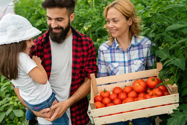 Mutlu çocuklu bir aile çiftlikte bahçıvanlık yapıyor, organik sebze yetiştiriyor. İnsanlar sağlıklı gıda konsepti topluyor.