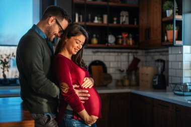 Aşırı mutlu hamile bir eş kocaya sarılıyor, son üç aylık dönemde evde romantik anların tadını çıkarıyor. Hamilelik, yeni aile, mutluluk kavramı.
