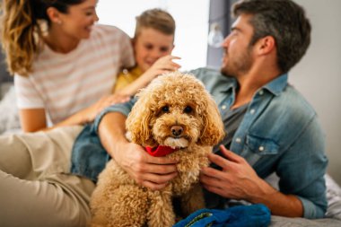 Şirin köpek, rahat bir evde sahiplerinin sevgisinden hoşlanıyor. Çift, çocuk ve kürklü arkadaşla ilgilenmek, bir bağ kurmak. Resim, aile hayatını, aile mutluluğunu ve sevgiyi evcil hayvanla paylaşmanın sevincini gösteriyor.