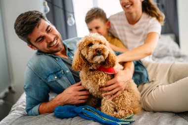 Şirin köpek, rahat bir evde sahiplerinin sevgisinden hoşlanıyor. Çift, çocuk ve kürklü arkadaşla ilgilenmek, bir bağ kurmak. Resim, aile hayatını, aile mutluluğunu ve sevgiyi evcil hayvanla paylaşmanın sevincini gösteriyor.