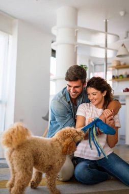 Şirin köpek, rahat bir evde sahiplerinin sevgisinden hoşlanıyor. Birkaç evcil hayvan ve kürklü arkadaşla ilgilenmek, bir bağ kurmak. Resim, aile hayatını, aile mutluluğunu ve sevgiyi evcil hayvanla paylaşmanın sevincini gösteriyor.