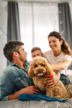 Mutlu, genç, beyaz bir aile evdeki oturma odasındaki kanepede birlikte eğleniyor.