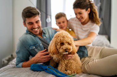 Şirin köpek, rahat bir evde sahiplerinin sevgisinden hoşlanıyor. Çift, çocuk ve kürklü arkadaşla ilgilenmek, bir bağ kurmak. Resim, aile hayatını, aile mutluluğunu ve sevgiyi evcil hayvanla paylaşmanın sevincini gösteriyor.