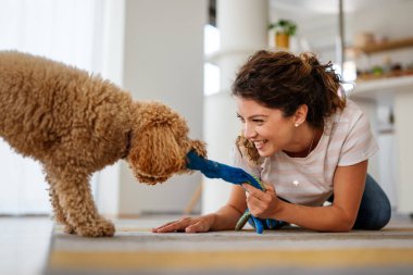 Gülümseyen mutlu ev sahibi kadın ve en iyi arkadaşı köpek oynuyorlar ve evde birlikte güzel vakit geçiriyorlar. Evcil hayvan konseptine dikkat et.