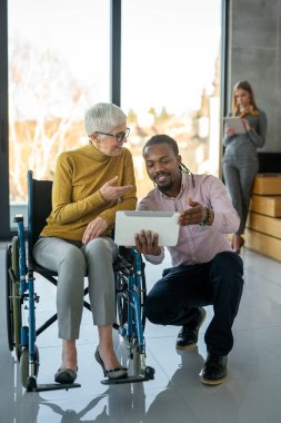 Tekerlekli sandalyedeki engelli kadın bilgisayara bakıyor, ırklar arası projeyi tartışıyor. Katılım, eşitlik mutlu iş insanları konsepti.