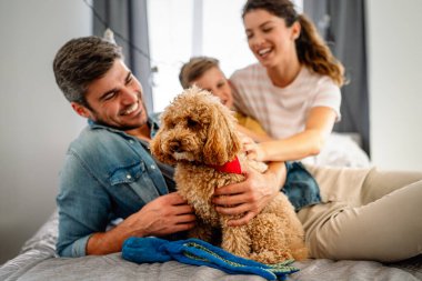 Şirin köpek, rahat bir evde sahiplerinin sevgisinden hoşlanıyor. Çift, çocuk ve kürklü arkadaşla ilgilenmek, bir bağ kurmak. Resim, aile hayatını, aile mutluluğunu ve sevgiyi evcil hayvanla paylaşmanın sevincini gösteriyor.