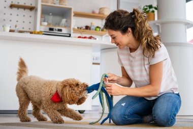 Gülümseyen mutlu ev sahibi kadın ve en iyi arkadaşı köpek oynuyorlar ve evde birlikte güzel vakit geçiriyorlar. Evcil hayvan konseptine dikkat et.