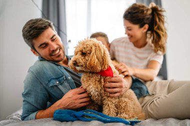 Şirin köpek, rahat bir evde sahiplerinin sevgisinden hoşlanıyor. Çift, çocuk ve kürklü arkadaşla ilgilenmek, bir bağ kurmak. Resim, aile hayatını, aile mutluluğunu ve sevgiyi evcil hayvanla paylaşmanın sevincini gösteriyor.