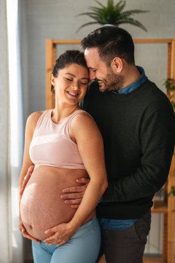 Aşk, şefkat, ilişki ve yeni aile kavramı. Aşık bir adam hamile karısına sarılır, birlikte bebeklerin gelmesini beklerler.