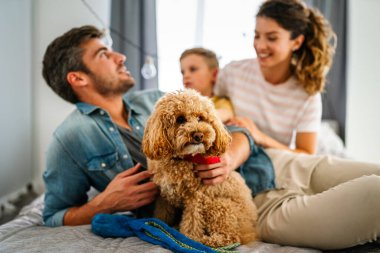 Mutlu çok ırklı bir aile evde eğleniyor, ebeveynler çocuk ve bir köpek birlikte kaliteli zaman geçiriyor. Anne, baba ve oğulları birlikte oynayıp gülümsüyor.