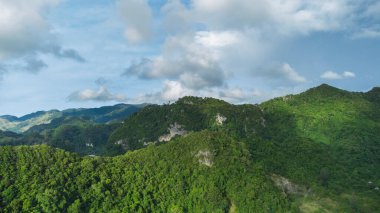Tropikal ormanın tepesinden bak