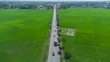 Yeşil pirinç tarlalarının ortasındaki yolun tepesinden bak.