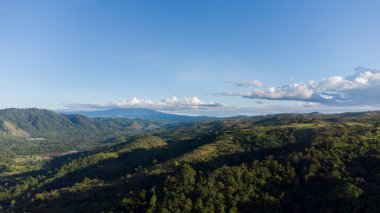 Tropikal ormanın tepesinden bak