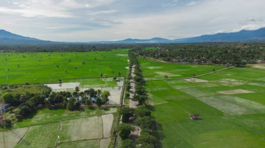Yüksek Açı Yol Görünümü