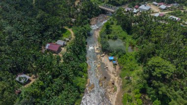 Tropikal orman nehrinin yüksek açılı manzarası