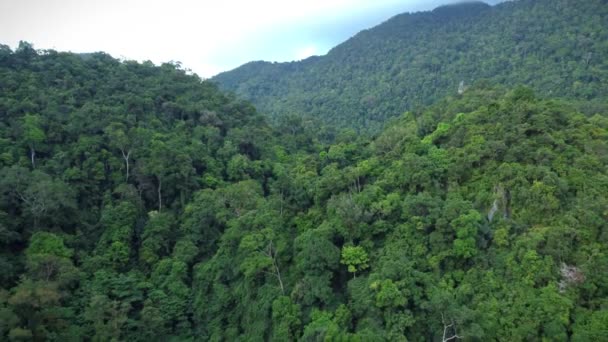 Veduta Aerea Delle Montagne Coperte Foresta Pluviale Indonesia Aceh — Video Stock