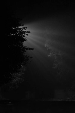 Şehirde gece sisi, Fener ışınları