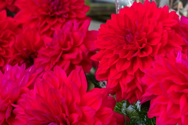 Bouquet Dahlias Rouges Marché Rue Fleurs — Photo