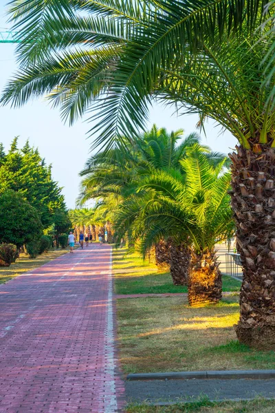 stock image Batumi, Georgia - 30 August, 2022: Batumi seafront boulevard. Travel