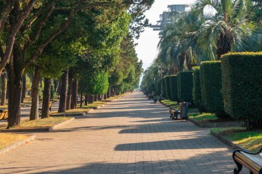 Georgia, Batumi seti üzerinde palmiye ağaçları ve diğer ağaçlarla park edin.