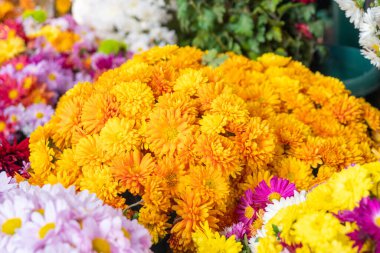 Çiçeklerin farklı çeşitlerinden güzel bir buket. Hediye