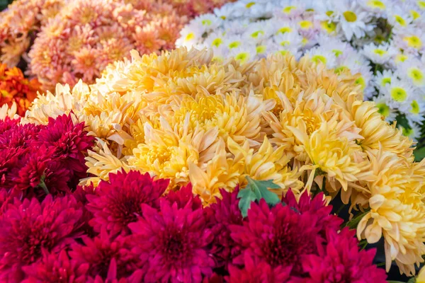 Belo Buquê Diferentes Variedades Flores Presente — Fotografia de Stock