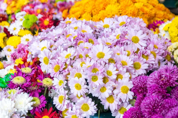 Hermoso Ramo Diferentes Variedades Flores Regalo —  Fotos de Stock