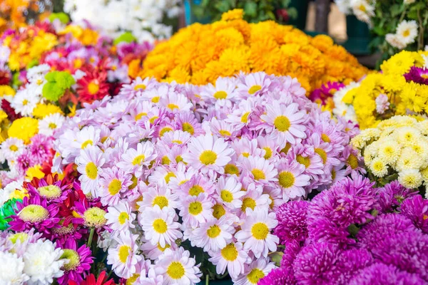 Piękny Bukiet Różnych Odmian Kwiatów Prezent — Zdjęcie stockowe