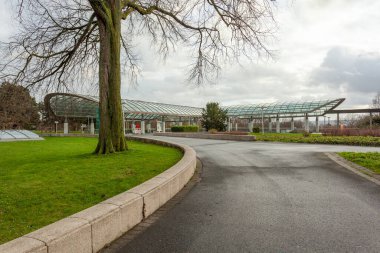 Beautiful green lawn near metro stations in Dortmund. Park