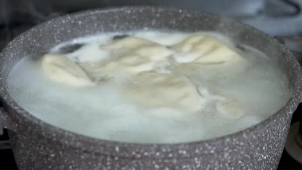 Ручной Хинкали Кастрюле Кипящей Водой Домашней Кухне Традиционная Грузинская Еда — стоковое видео