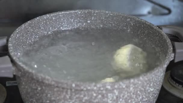 Håndlavet Khinkali Gryde Med Kogende Vand Husholdningskøkkenet Traditionel Georgisk Mad – Stock-video