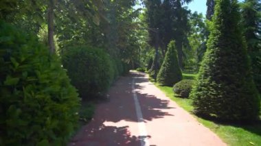 Yol ve güzel ağaçlar parkta koşmak, yürümek ve bisiklete binmek için pist çiziyor. Rahatla.