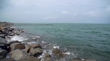 Poti şehrindeki Karadeniz kıyısında. Doğa