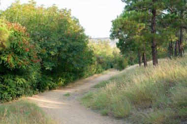 Tiflis 'teki Lisi halk parkında toprak yol. Açık hava.