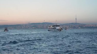 İstanbul, Türkiye - 7 Mart 2025: Boğazdaki yolcu ve balıkçı gemileri. Seyahat
