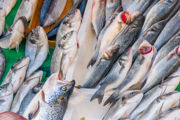 Sokak pazarında taze balık. Yiyecek.