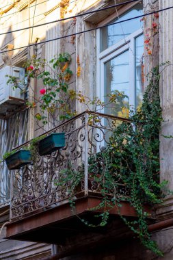 Karakteristik balkonları olan yaşlı Tiflis. Tiflis 'te renkli bir sonbahar. Seyahat