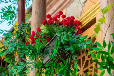 Karakteristik balkonları olan yaşlı Tiflis. Tiflis 'te renkli bir sonbahar. Seyahat